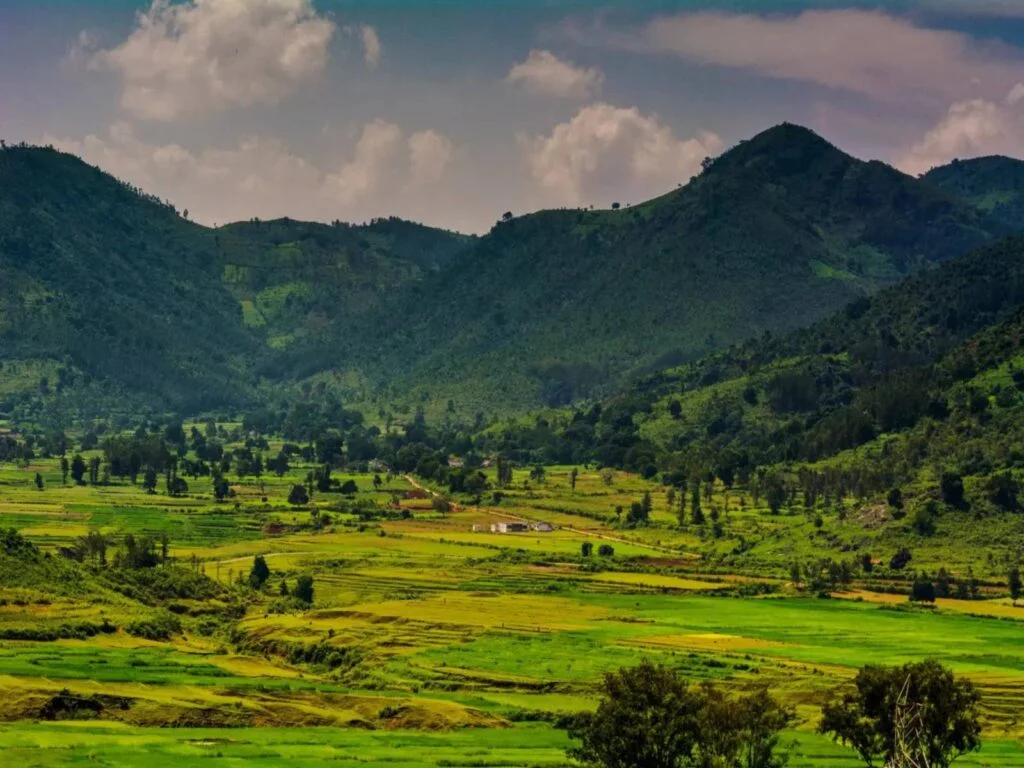 Discover the Serenity of Paderu Hill Station: Your Ultimate Guide